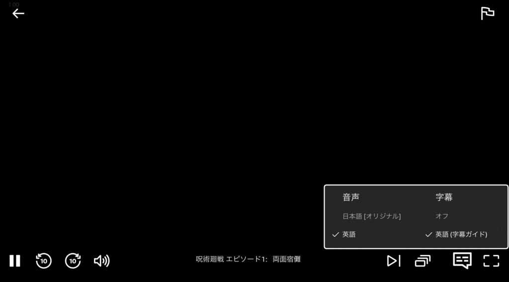 海外版Netflixの実際の視聴画面